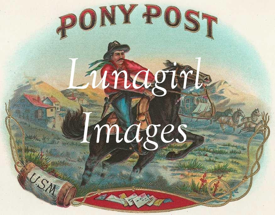 Antique Cigar Labels: 2500 Images - Lunagirl