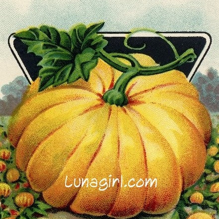 Antique Seed Packet Lithographs: 80 Images - Lunagirl