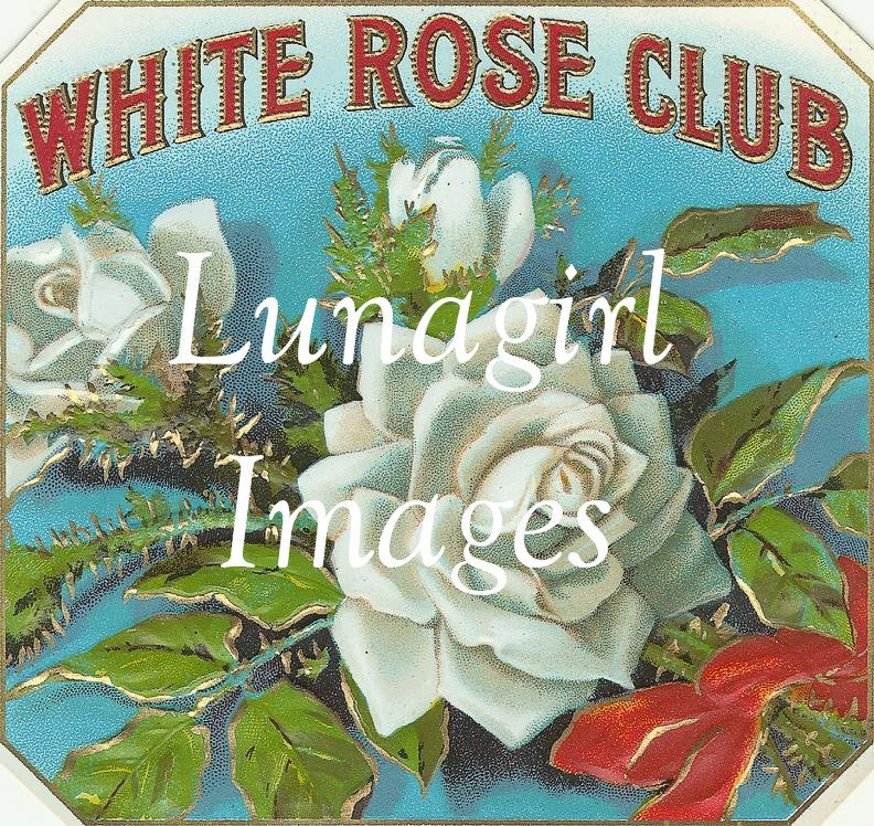 Antique Cigar Labels: 2500 Images - Lunagirl