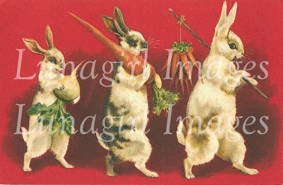 Easter Bunnies Images Download Pack - Lunagirl