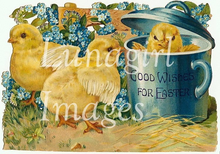 Easter Chickens Images Download Pack - Lunagirl