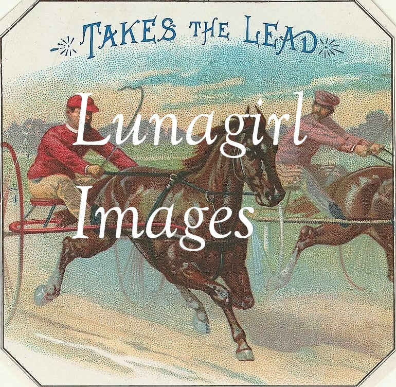 Vintage Victorian Animals: 950 Images - Lunagirl