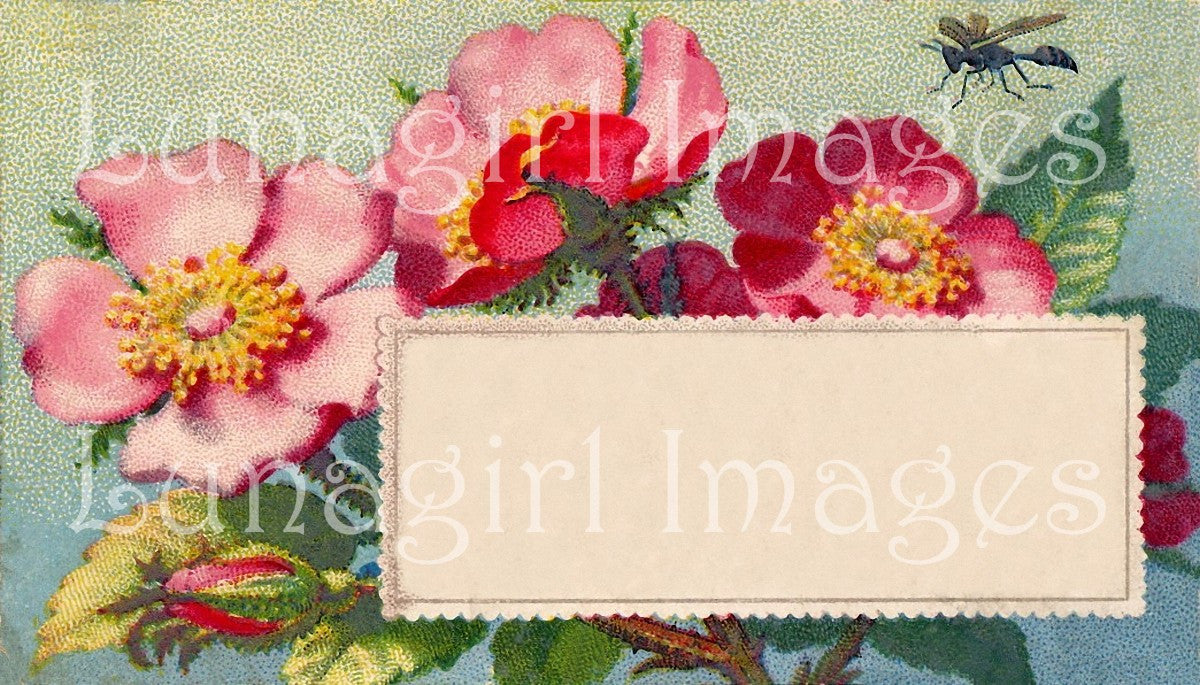 Victorian Vintage Blank Labels: 600 Labels Frames & Tags - Lunagirl