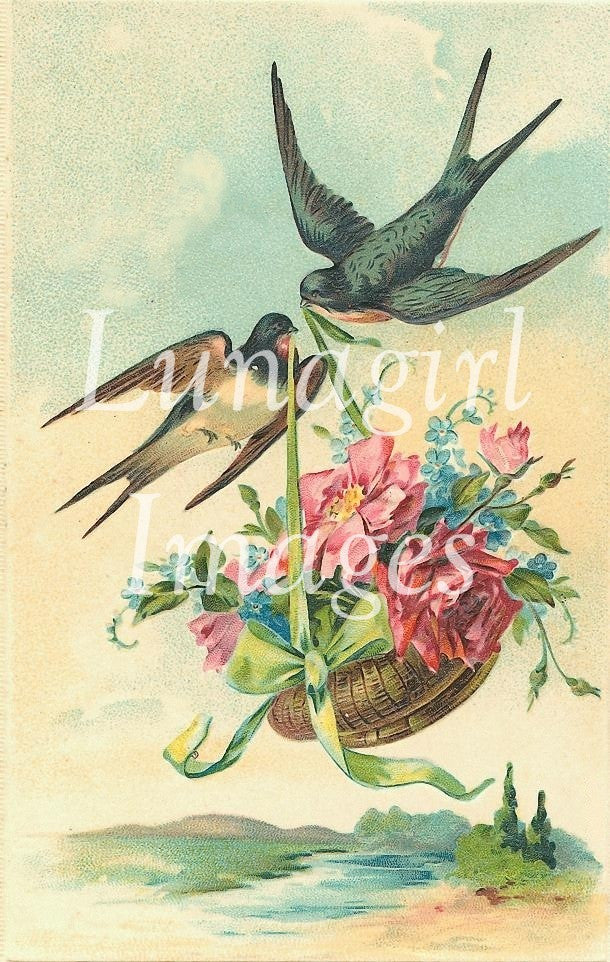 Victorian Birds: 500 Images - Lunagirl