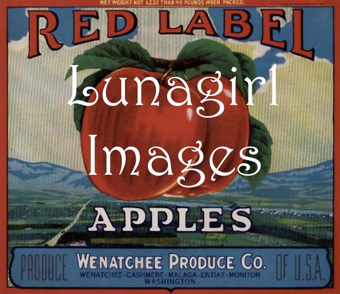 Vintage Can & Crate Labels: 400 Images - Lunagirl