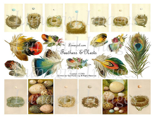 Feathers & Nests Digital Collage Sheet - Lunagirl