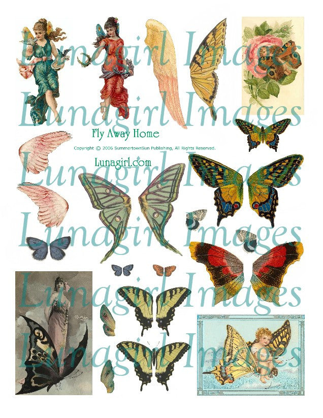 Fly Away Home Wings Digital Collage Sheet - Lunagirl