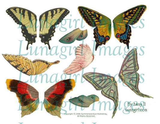 Fly Away II Larger Wings Digital Collage Sheet - Lunagirl