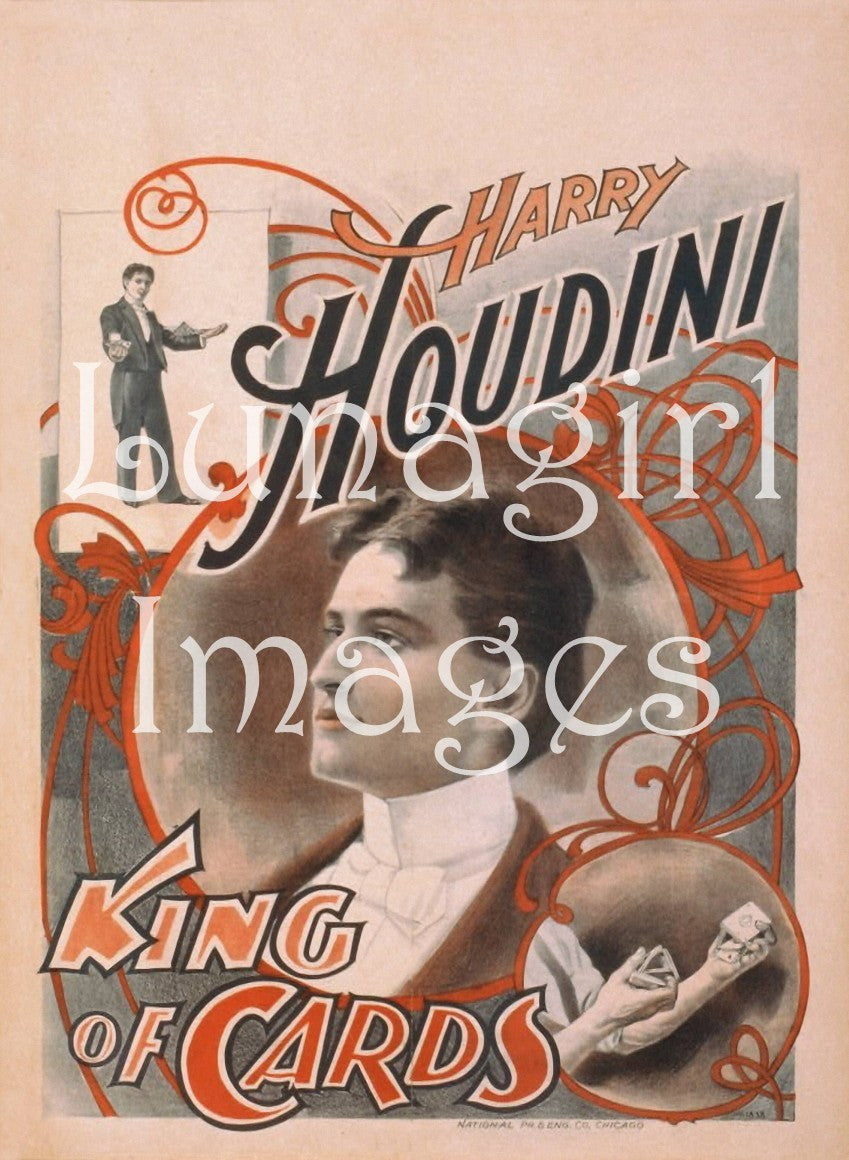 Vintage Theater Posters: Magicians Novelties & Musicians: 400 Images - Lunagirl