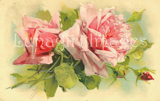 72 Vintage Victorian Pink Roses Download Pack - Lunagirl