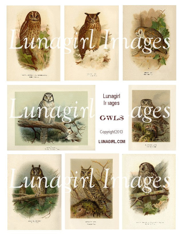 Owls Digital Collage Sheet - Lunagirl