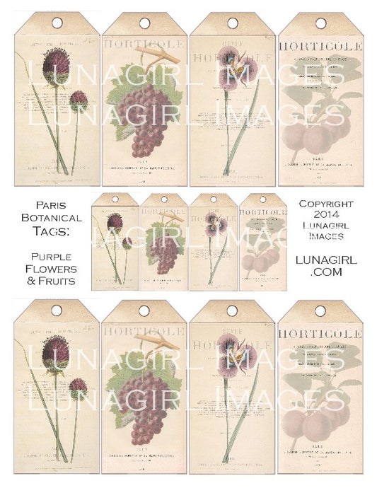 Paris Botanical Tags: Purple Flowers & Fruit Digital Collage Sheet - Lunagirl
