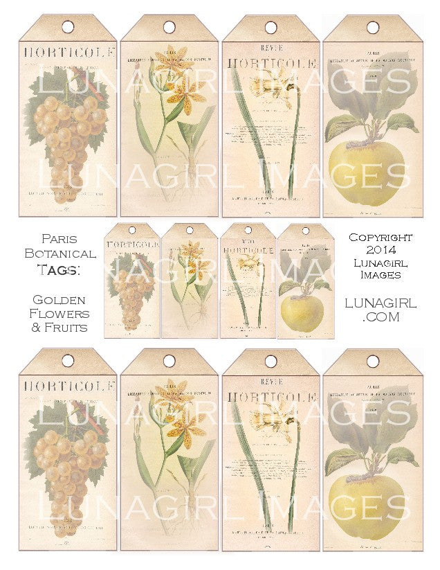 Paris Botanical Tags: Yellow Flowers & Fruit Digital Collage Sheet - Lunagirl