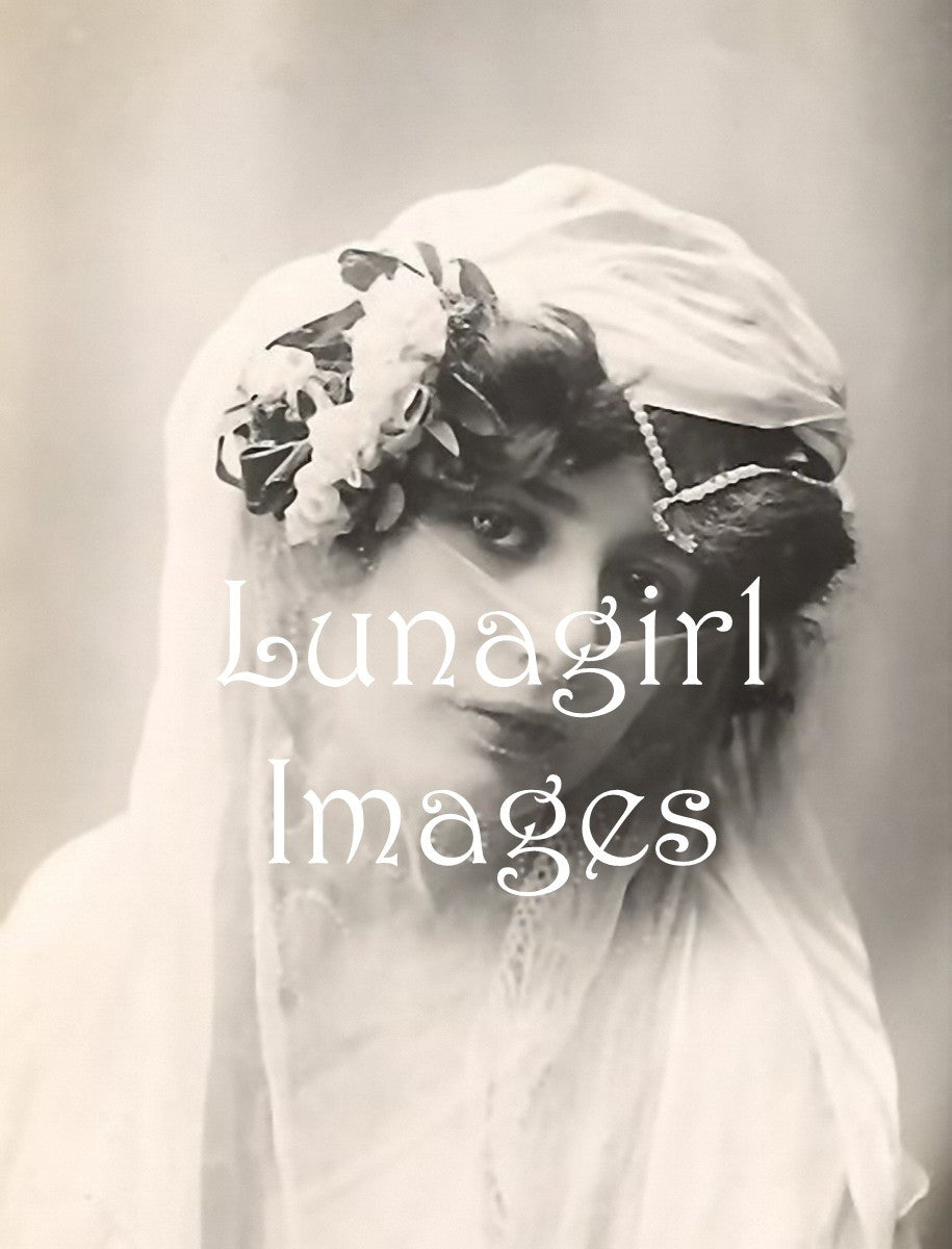 Victorian Edwardian Vintage Ladies Photos Volume #2: 1000 Images - Lunagirl