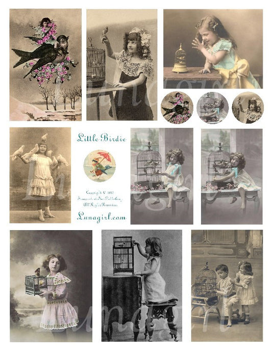 Little Birdie Digital Collage Sheet - Lunagirl