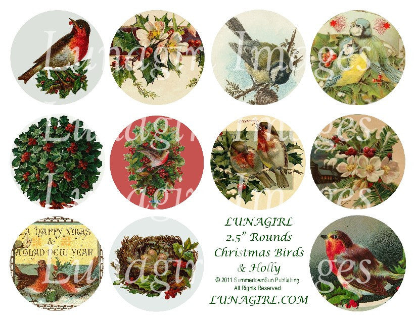Christmas Birds & Holly 2.5" Rounds Digital Collage Sheet - Lunagirl