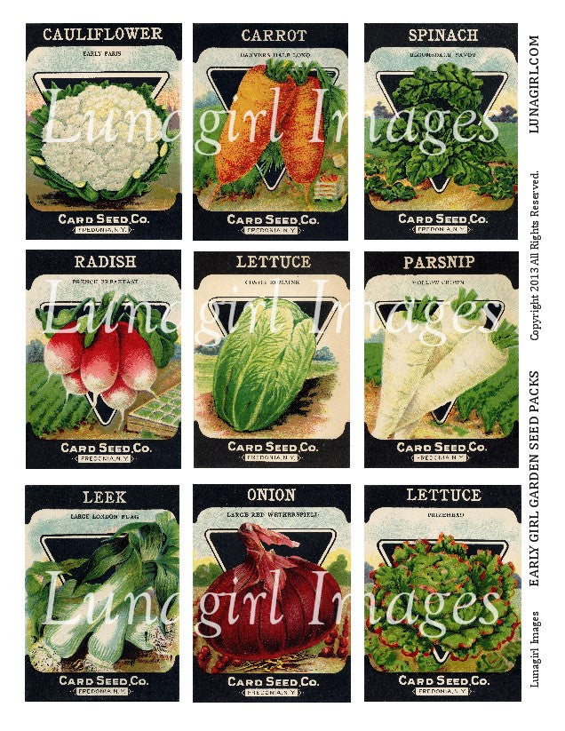 Early Girl Garden Seed Packs Digital Collage Sheet - Lunagirl