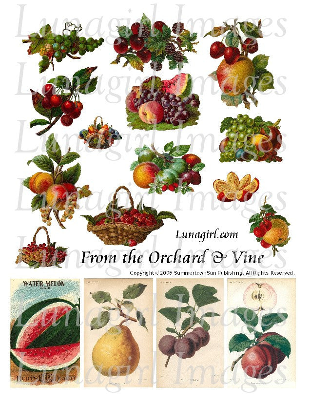 From the Orchard & Vine Digital Collage Sheet - Lunagirl