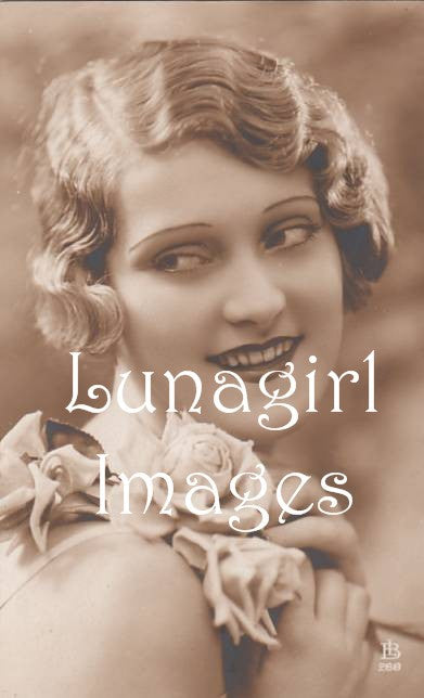 Victorian Edwardian Vintage Ladies Photos Volume #4: 1000 Images - Lunagirl