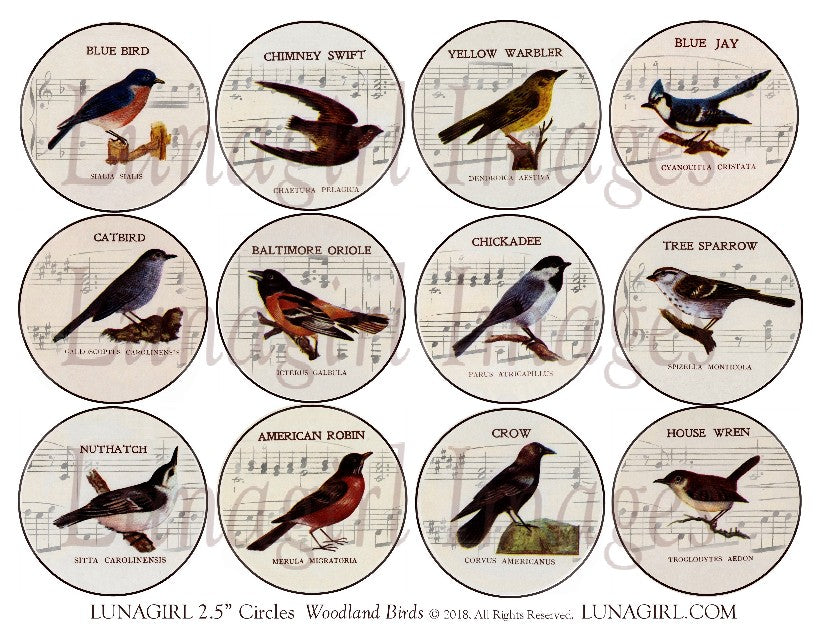 Woodland Birds with Music Backgrounds 2.5" Circles Digital Collage Sheet - Lunagirl