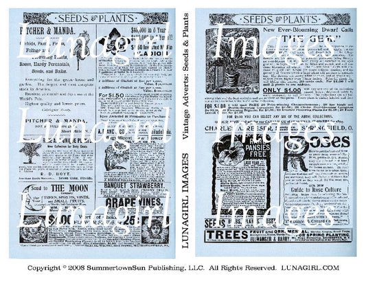 Vintage Adverts: Seeds & Plants in BLUE Digital Collage Sheet - Lunagirl