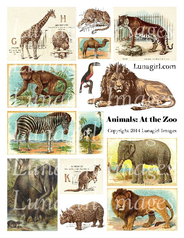 Animals: At the Zoo Digital Collage Sheet - Lunagirl
