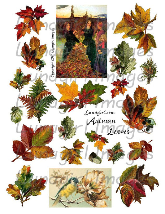 Autumn Leaves Digital Collage Sheet - Lunagirl