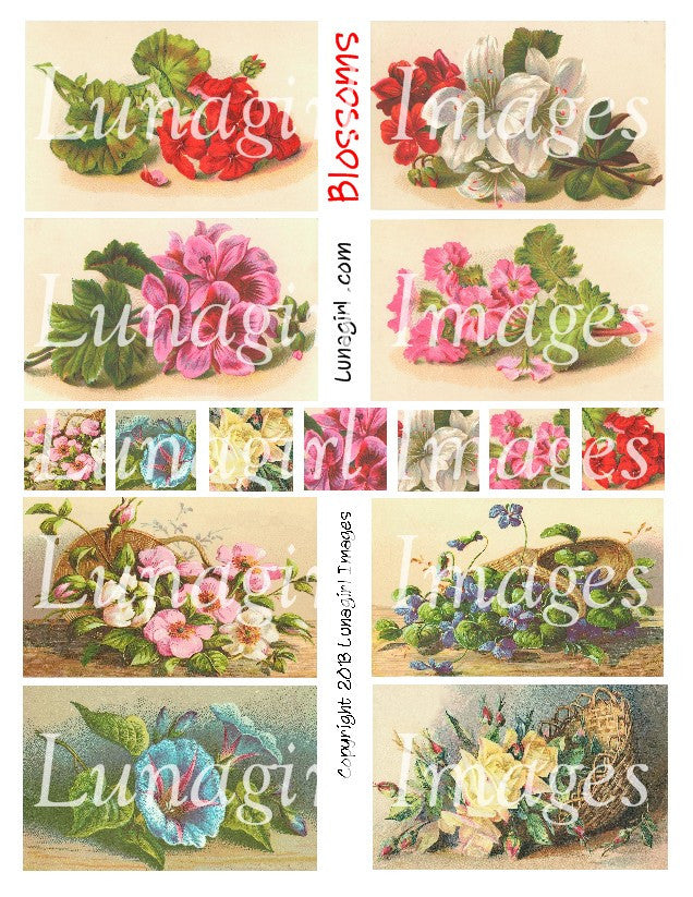 Blossoms Digital Collage Sheet - Lunagirl
