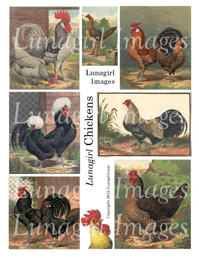 Chickens Digital Collage Sheet - Lunagirl