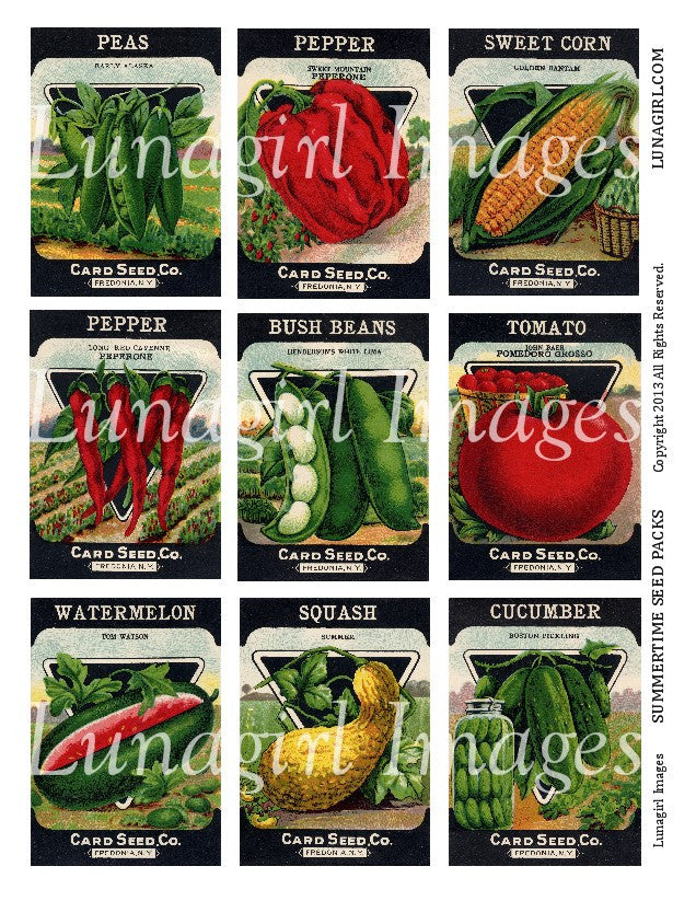 Summertime Seed Packs Digital Collage Sheet - Lunagirl