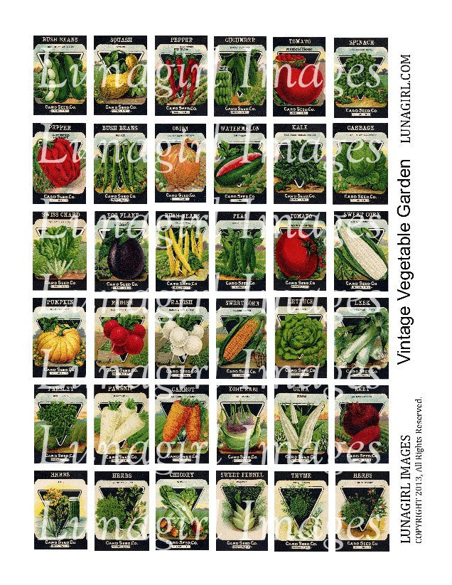 Vintage Vegetable Garden 1x1.5" Digital Collage Sheet - Lunagirl