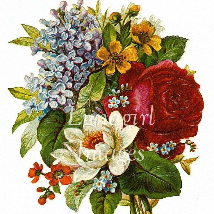 Victorian Flowers: 900 Images - Lunagirl