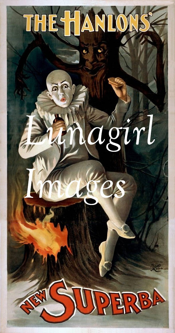 Vintage Theater Posters: Magicians Novelties & Musicians: 400 Images - Lunagirl