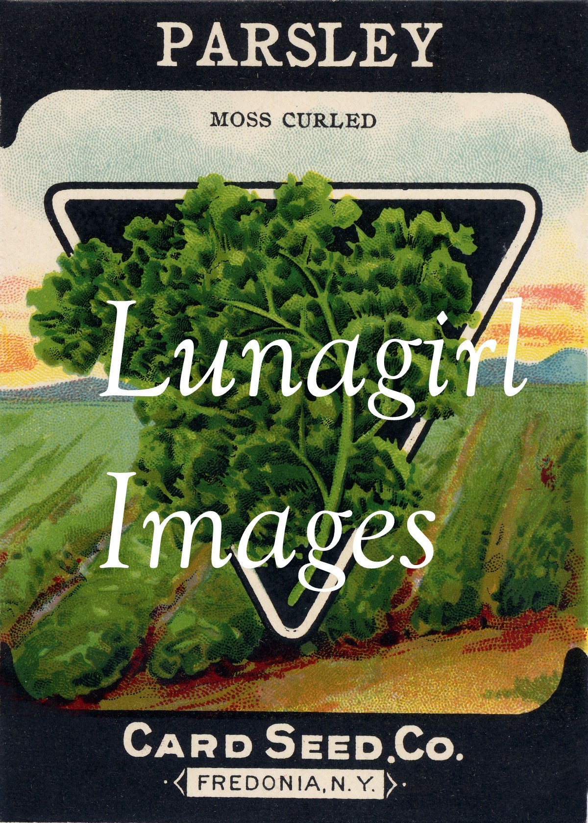 Antique Seed Packet Lithographs: 80 Images - Lunagirl
