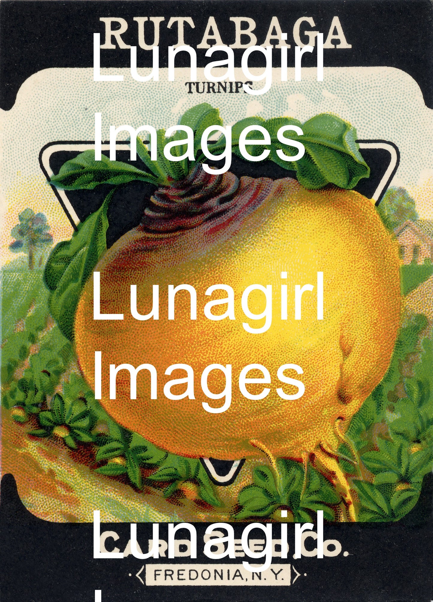 Antique Seed Packet Lithographs: 80 Images - Lunagirl