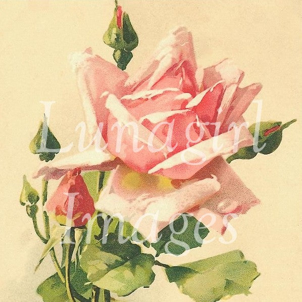 Victorian Flowers: 900 Images - Lunagirl