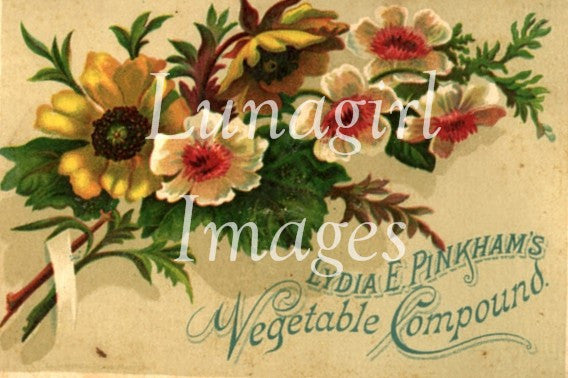 Vintage Ads Posters & Trade Cards: 1500 Images - Lunagirl
