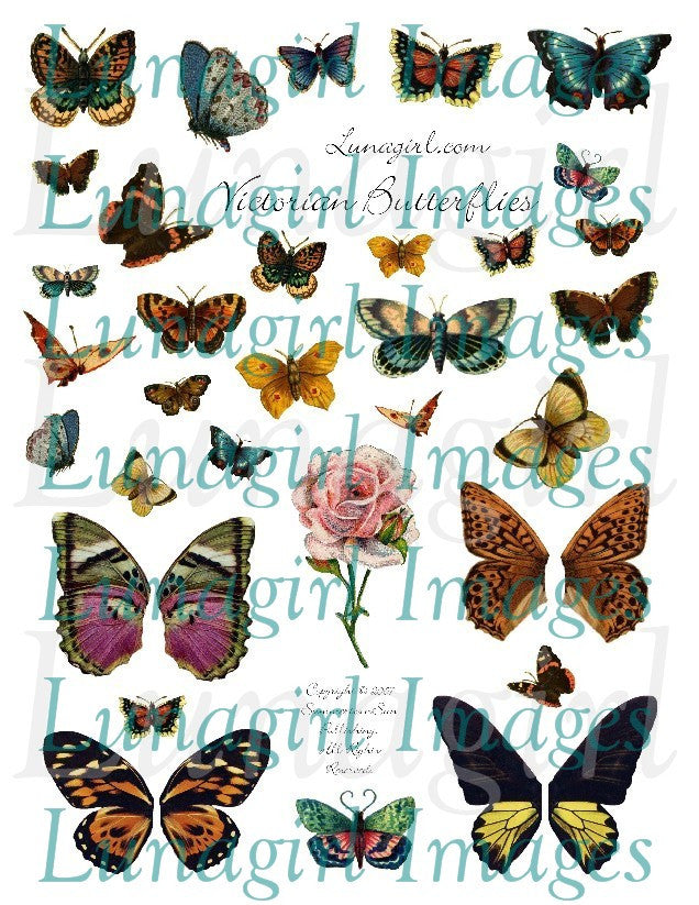 Victorian Butterflies Digital Collage Sheet - Lunagirl
