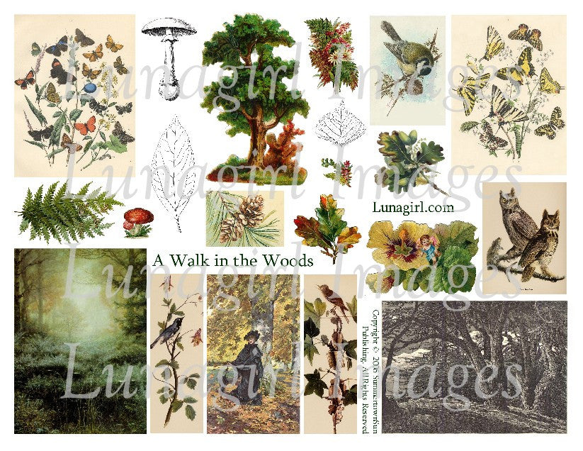 A Walk in the Woods Digital Collage Sheet - Lunagirl