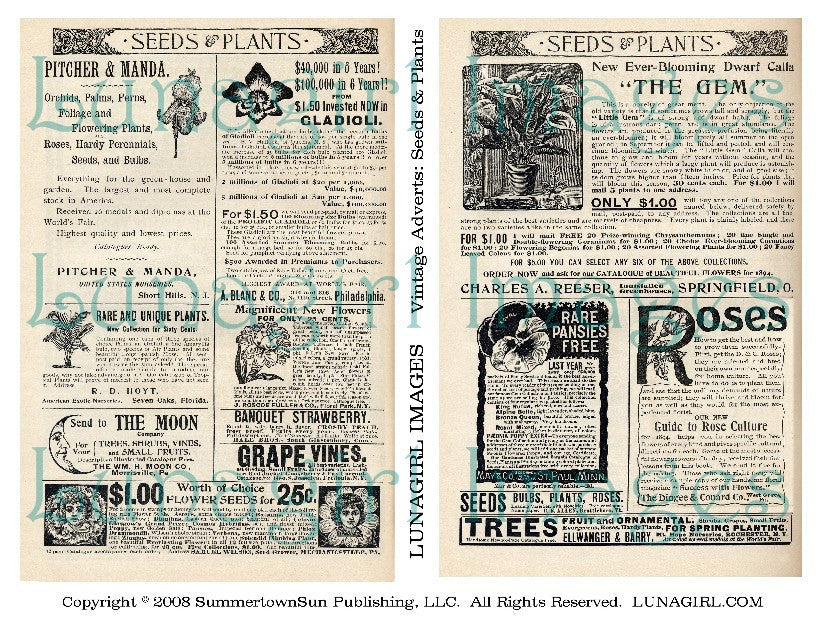 Vintage Adverts: Seeds & Plants Digital Collage Sheet - Lunagirl