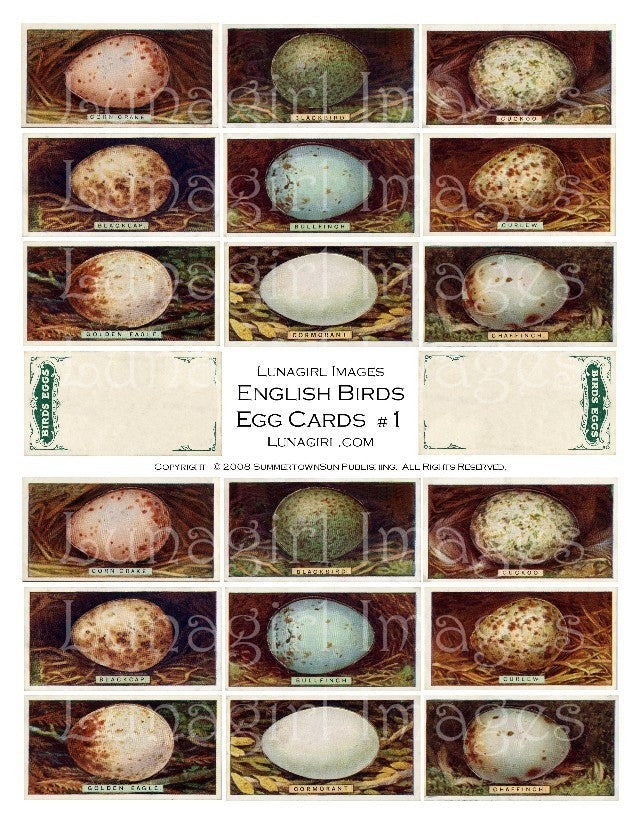 Birds Eggs Digital Collage Sheet - Lunagirl