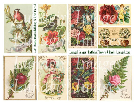 Birthday Cards Flowers & Birds Digital Collage Sheet - Lunagirl