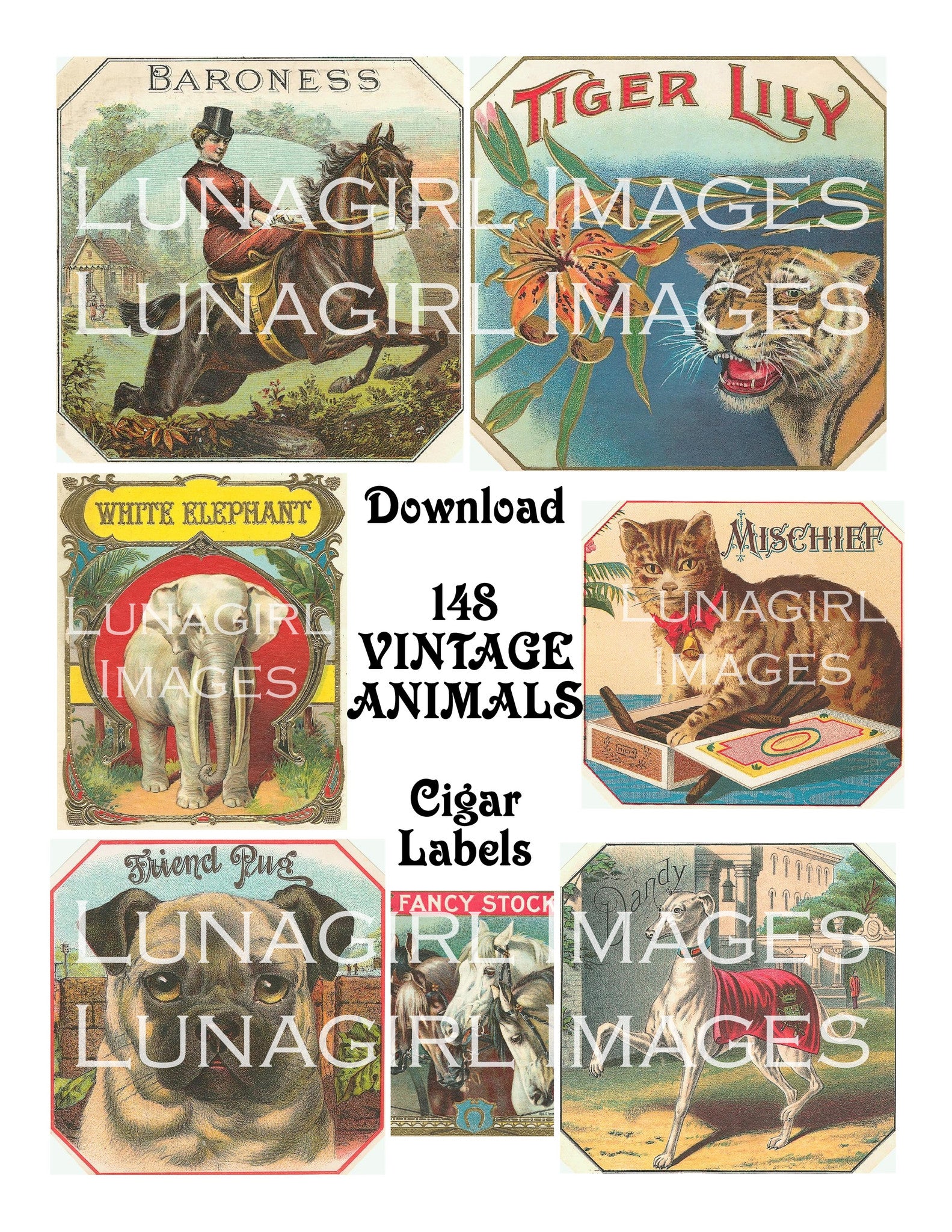 148 Animals Vintage Cigar Labels Download Pack - Lunagirl
