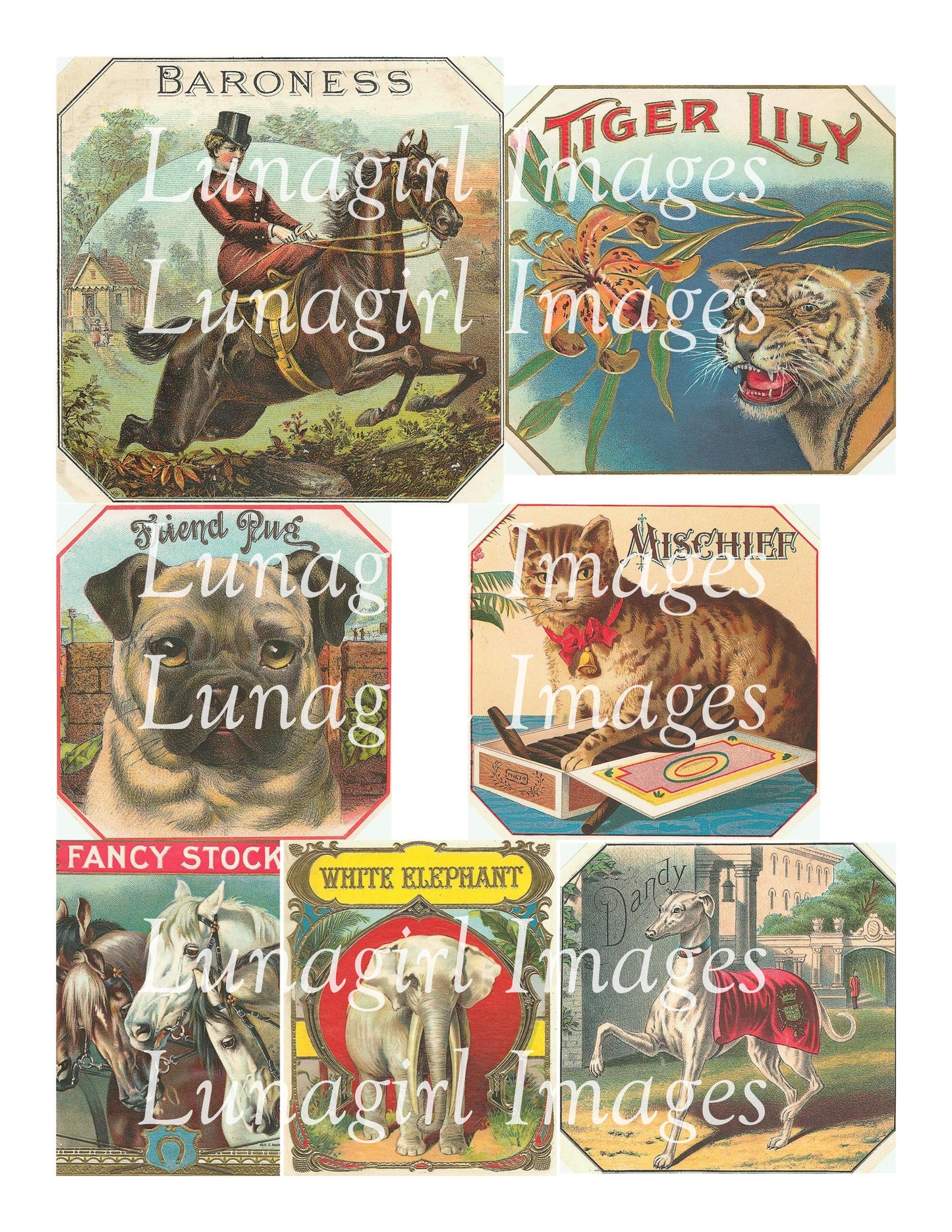 148 Animals Vintage Cigar Labels Download Pack - Lunagirl