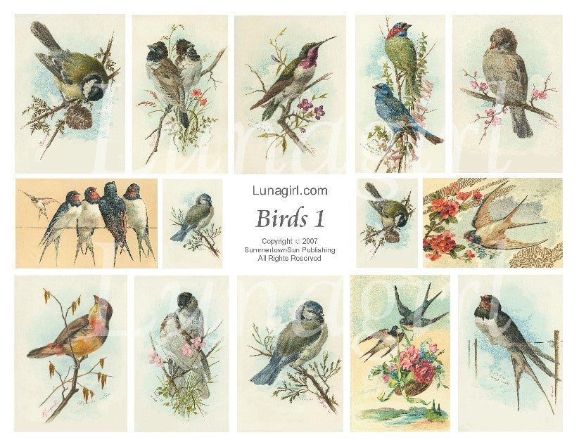 Birds #1 Digital Collage Sheet - Lunagirl