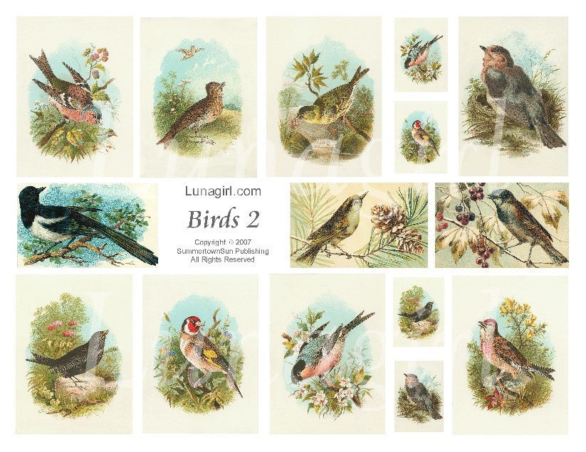 Birds #2 Digital Collage Sheet - Lunagirl