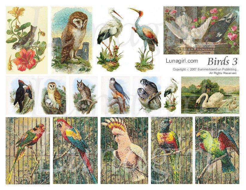 Birds #3 Digital Collage Sheet - Lunagirl