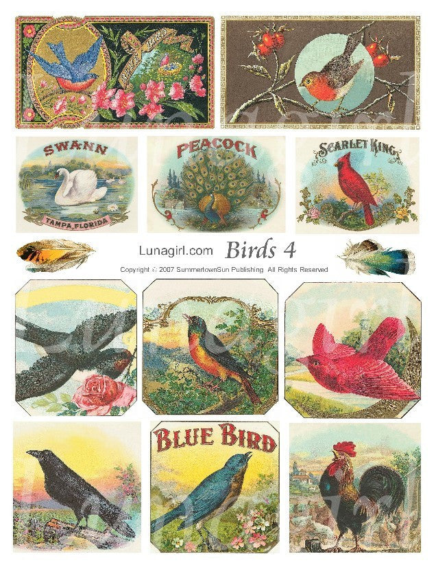 Birds #4 Digital Collage Sheet - Lunagirl