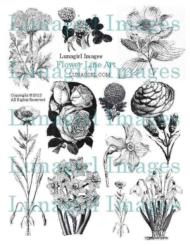 Flowers Line Art Digital Collage Sheet - Lunagirl