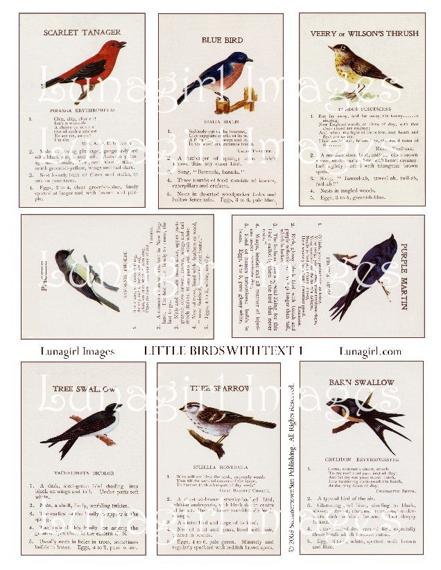 Little Birds with Text #1 Digital Collage Sheet - Lunagirl